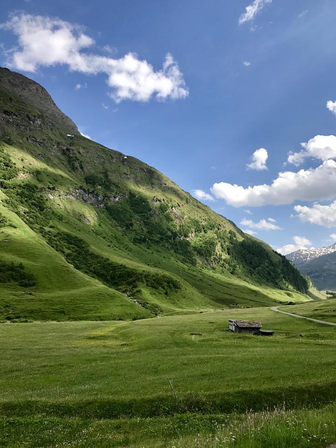 Gasthaus Alpenrose Innerferrera Экстерьер фото